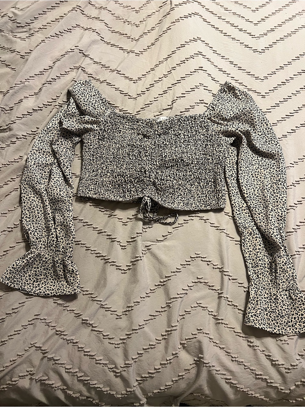 Smocked Leopard Print Long-Sleeve Crop Top